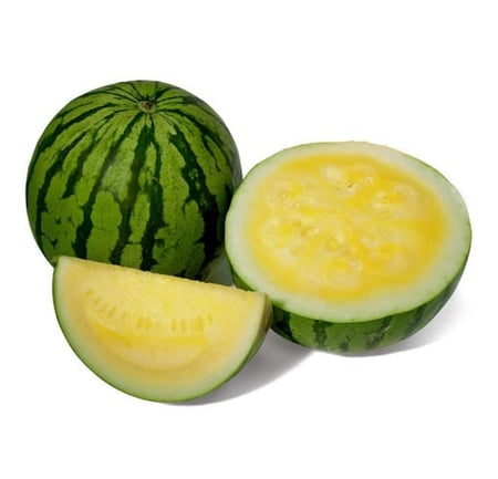 حبحب جولدن فينش F1