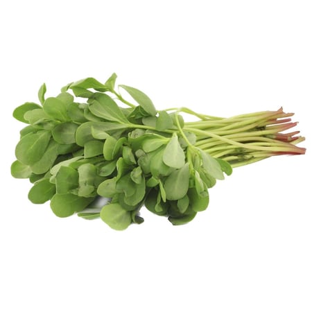 بكج بذور الورقيات