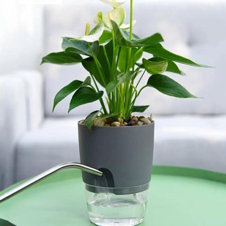 حوض ذاتي الري 18 سم