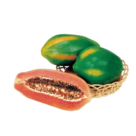 بذور بابايا رد ليدي F1