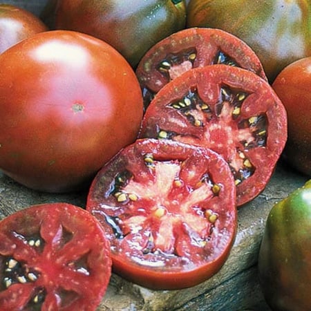 بذور طماطم اسود