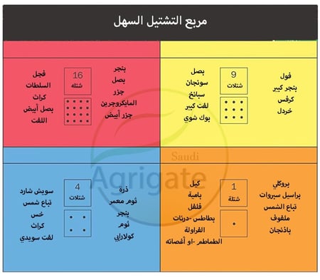 مربع البذور