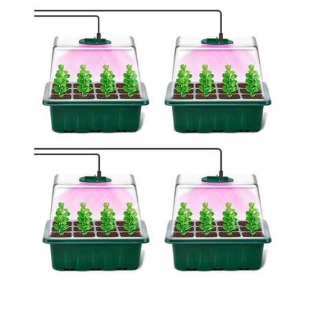 ٤ صواني تشتيل بإضاءة