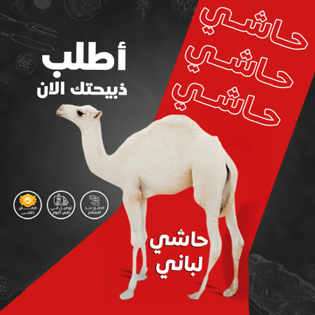 حاشي كامل