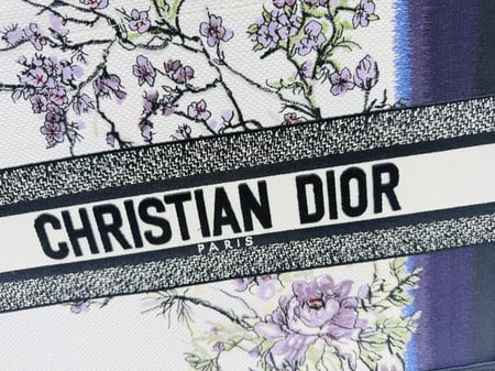 Dior Book Tote