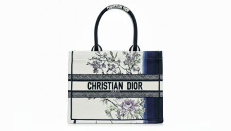 Dior Book Tote