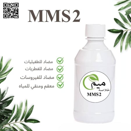 MMS2