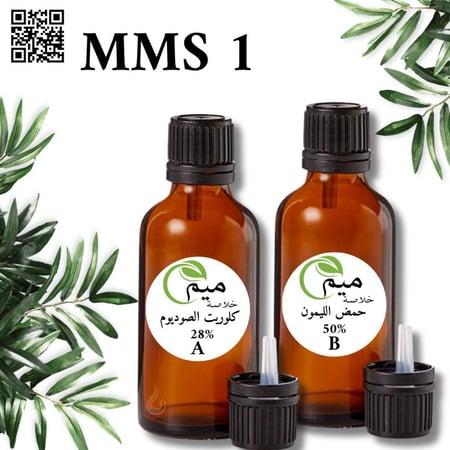 mms1