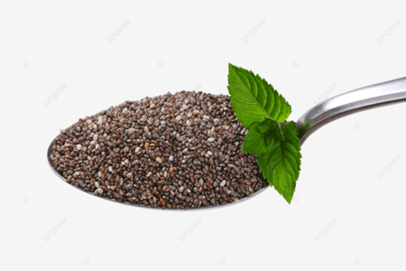 بذور الشيا