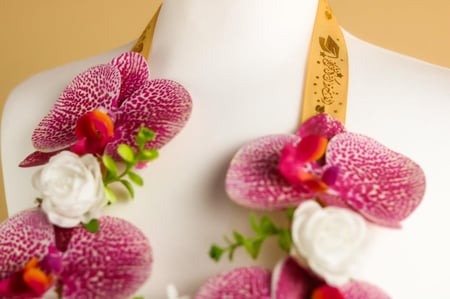 طوق تخرج الاوركيد