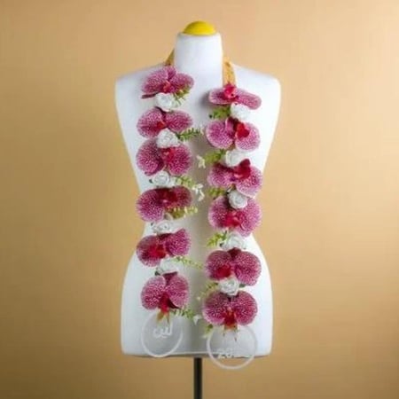 طوق تخرج الاوركيد