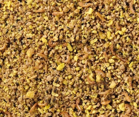 بأتية للزيبرا فينش - Egg food