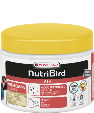 سيريلاك فيرسل لاقا A19