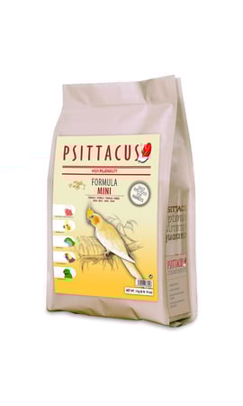 ميني غذاء يومي