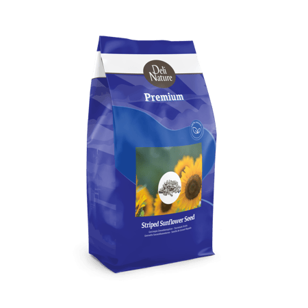 حب شمسي أسود