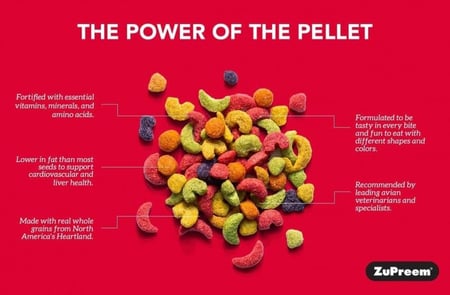 زوبريم فروت بلند للببغاوات والكنيور