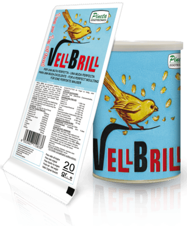 لتساقط الريش VELL BRILL