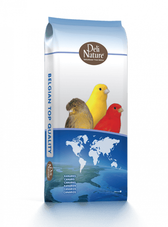 أكل كناري مشكل بدون فيتامين