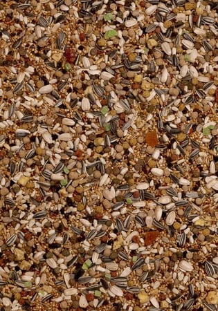 مشكل بالفواكة للكروان والروزيلا