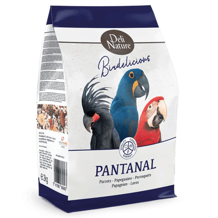 أكل للببغاوات المكاو بالمكسرات والفواكه