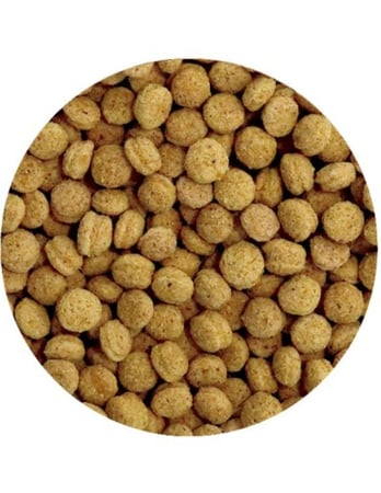 غذا يومي بالمكسرات و الفواكة PET CUP PERFECT
