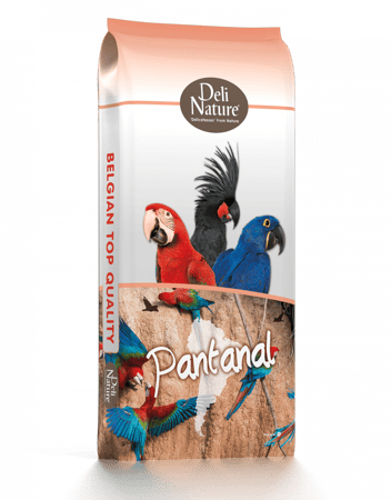 أكل للببغاوات المكاو بالمكسرات والفواكه