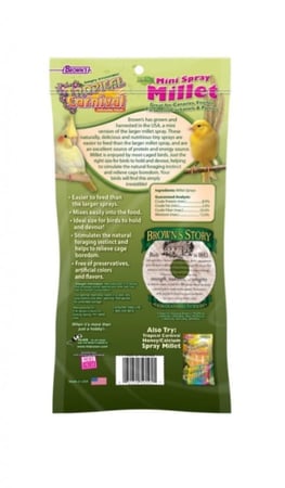 عناقيد الدخن