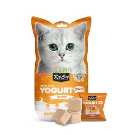 كت كات مكافات زبادي مجفف بنكهة اليقطين 10g