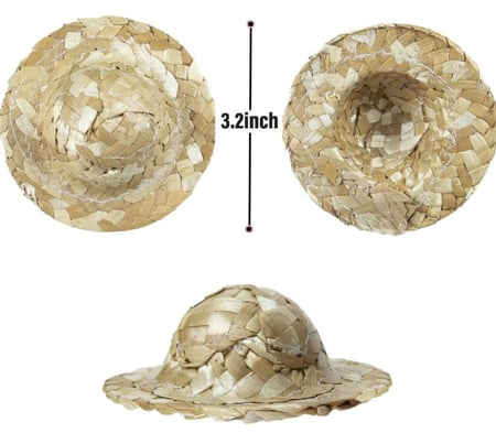 قبعة ميني من السعف