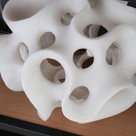 الصدفة الرخامية المفرغة