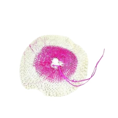 فتيلة تريك فراشة الشد 12حبه