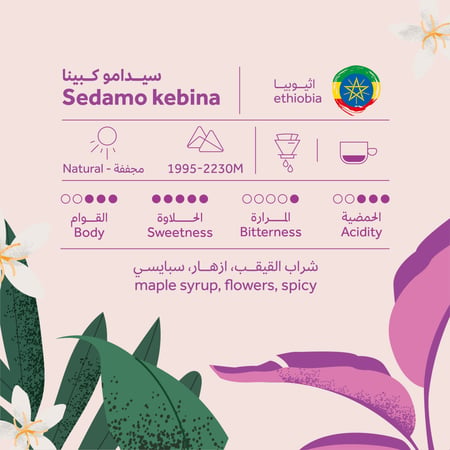 سيدامو