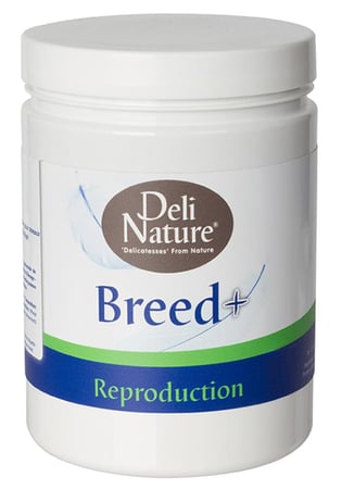 بريد بلس مكمل غذائي ديلي نيتشر Breed