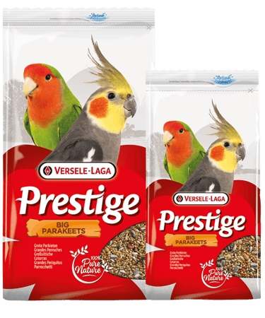 اكل روز كروان فيشر ومناسب لجميع الببغاوات المتوسطه فيرسل لاقا Versele-