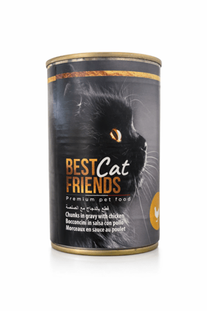 BestFriends Cat Chicken Chunks in Gravy بيست فريندز قطع دجاج للقطط