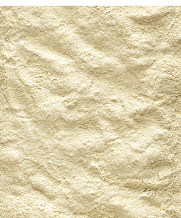 سيريلاك A21 فيرسل لاقا Versele-laga A21