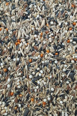 Manitoba Quality Attitude Bird Food طعام مانيتوبا لطيور الحسون