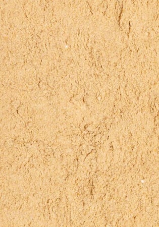 لوري دايت سيتاكوس PSITTACUS LORY DIET