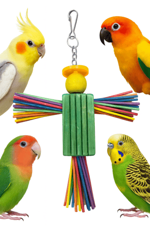 لعبة طيور خشبية ملونة للتسلية والمرح داخل القفص للطيور