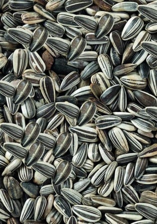 حب شمسي صغير بريميوم ديلي نيتشر Deli Nature Striped Sunflower Seed Pre