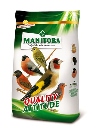 Manitoba Quality Attitude Bird Food طعام مانيتوبا لطيور الحسون
