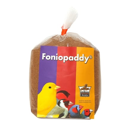 Floralia Fonio Paddy  فلوراليا فونيو بادي غذاء طبيعي لعلاج الكوكسيديا