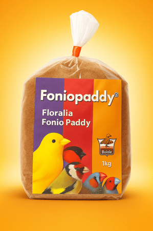 Floralia Fonio Paddy  فلوراليا فونيو بادي غذاء طبيعي لعلاج الكوكسيديا