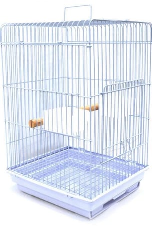 قفص جوانب قفص طيور متوسطه وكبيره قفص ببغاء كاسكو قفص كنيور