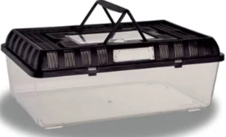 حضانة بلاستك - صندوق شفاف لتربية الطيور والزواحف والحيوانات الصغيرة