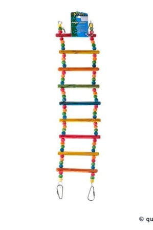 سلم لعبه طيور