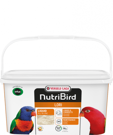 اكل لوري يومي فيرسل لاقا Versele-laga Lori غذاء لوري اكل ببغاء لوري