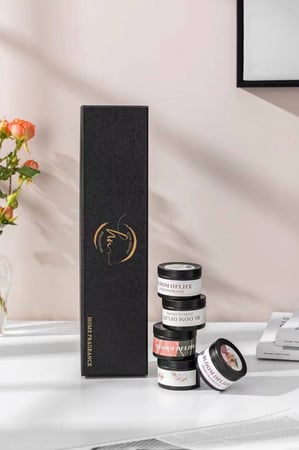 غصن الصنوبر