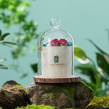 شموع غصن الصنوبر