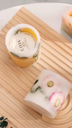 متجر غصن الصنوبر